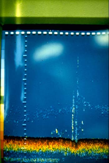Figure 12. Photograph of Color Image of a Marine Hydrocarbon Seep 